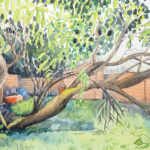 FALLEN PLUM TREE