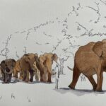 Elephants in Green Park